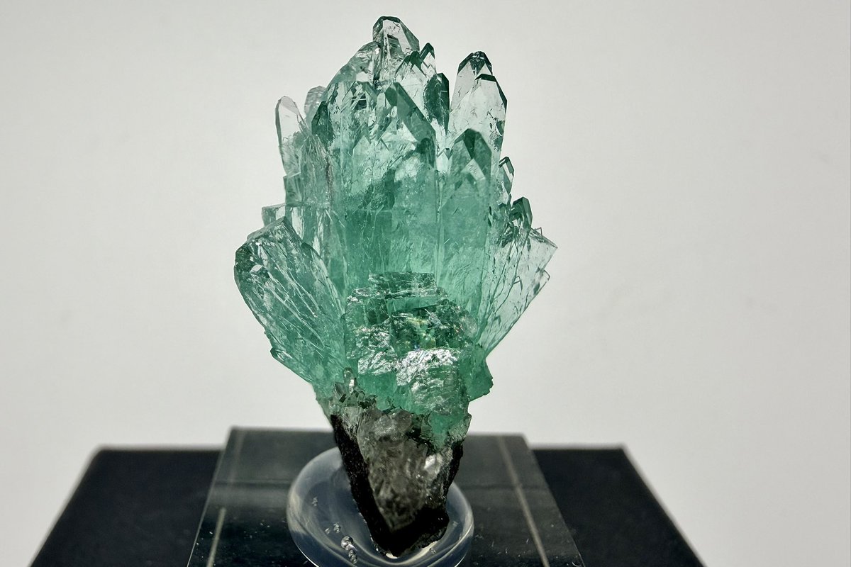 brbr_eaudenil's tweet image. #鉱物アドベントカレンダー2025 
19日目

Apophyllite 

Pune District, Pune Division, Maharashtra, India

碧く燃える炎のようなアポフィライト