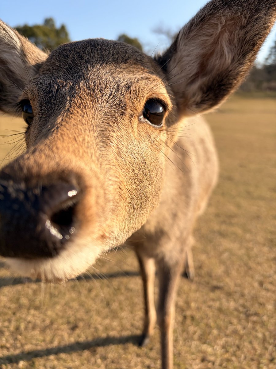很有趣的旅程，立个Flag每年都去1-2个国家走走。“工作是为了生活”，但 “生活绝不是为了工作”。