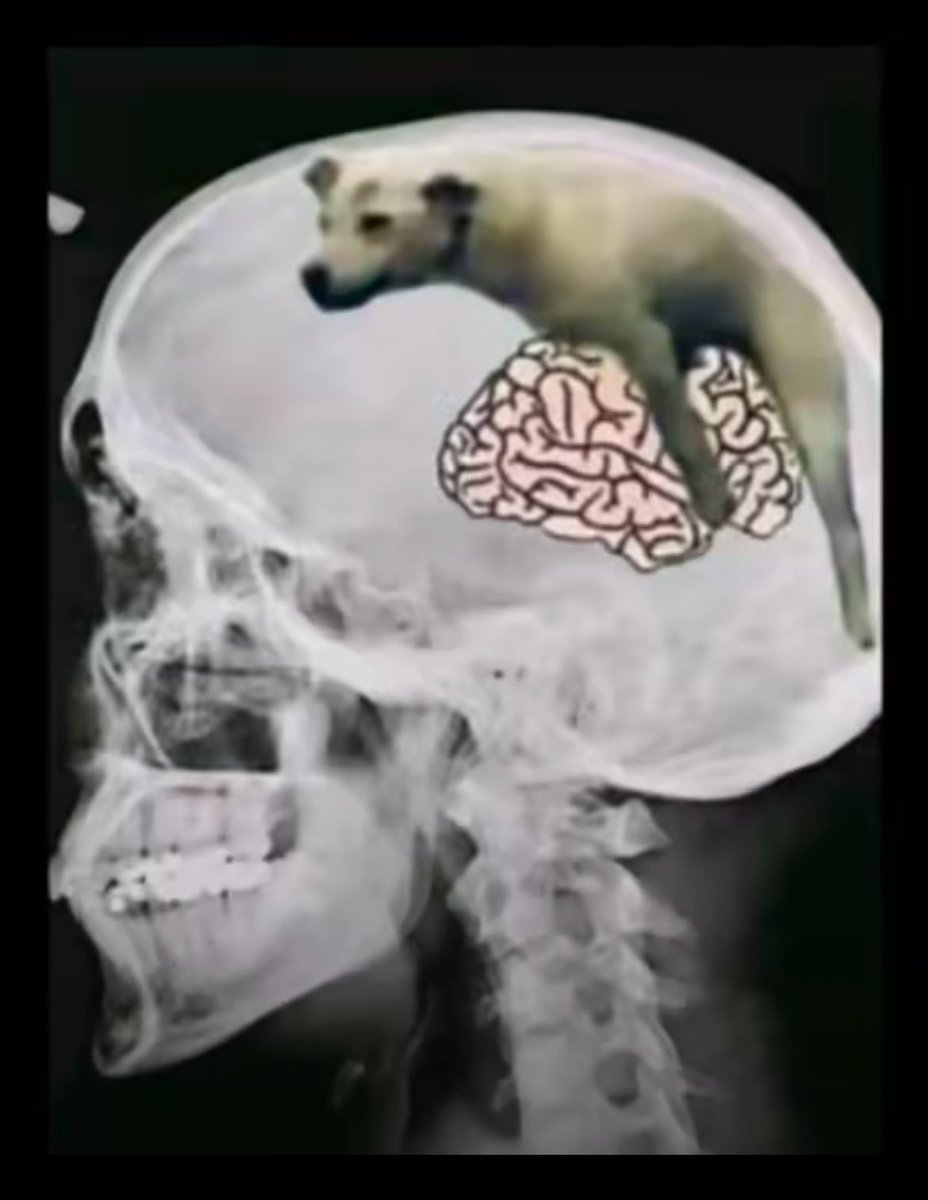 iam_pdee's tweet image. 