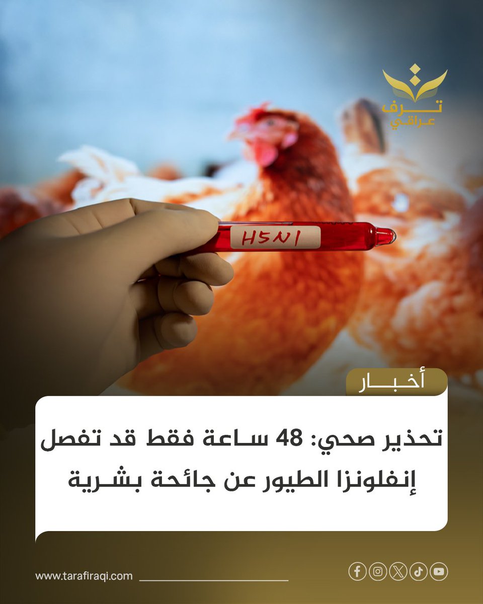 تنطلق في بغداد بطولة أندية العراق للمصارعة الحرة والرومانية للمتقدمين، بمشاركة واسعة من أندية العاصمة والمحافظات، وتعد ختام نشاطات الاتحاد للموسم الحالي 