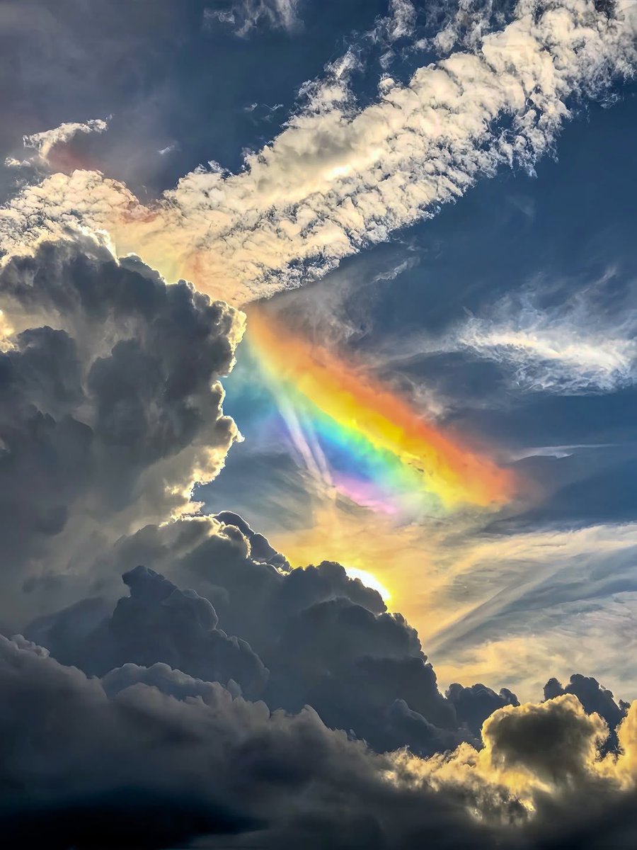 رحال tweet media