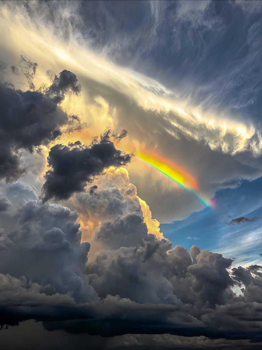 رحال tweet media