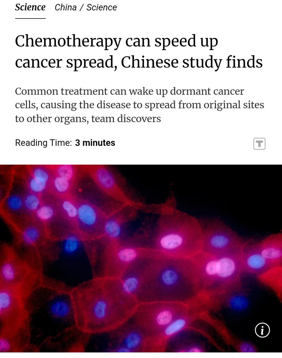 The Eagle flies free tweet media