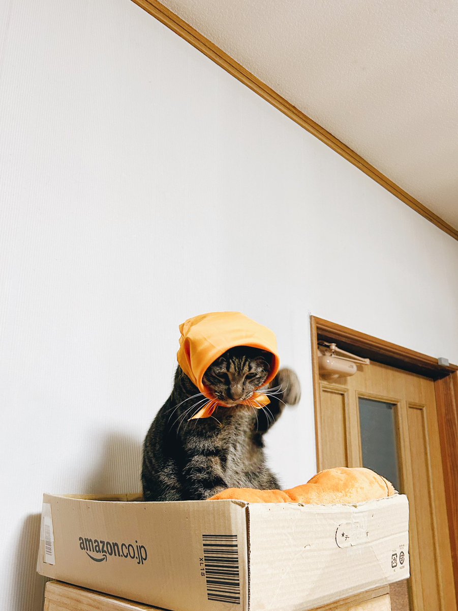 𝙇𝙊𝙉 tweet media