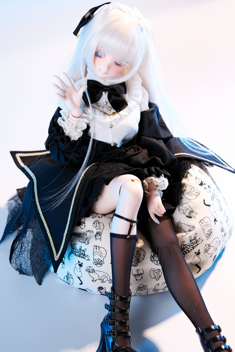 「黒と白」
#orionedoll #ドルフィードリーム