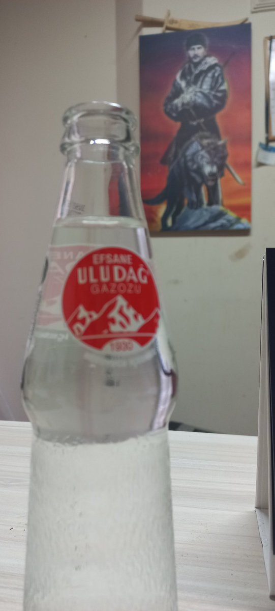 📌Türk'üm, Doğruyum, Çalışkanım. Bursalıyım, Bursasporluyum, Uludağ Gazoz içiyorum...
#Bursaspor #Teksas #UludağGazoz