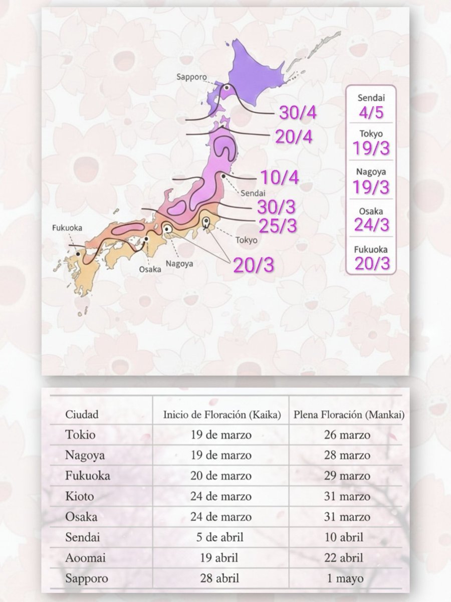 ¡Ya está aquí el primer pronóstico de la #Sakura 2026 en Japón! 🌸🇯🇵
Las fechas clave para este año:
📍 Tokio: 19 marzo
📍 Nagoya: 19 marzo
📍 Fukuoka: 20 marzo
📍 Kioto/Osaka: 24 marzo
📍 Sendai: 5 abril
📍 Sapporo: 28 abril
¡Reserva tu viaje con nosotros!
Fechas del viaje hilo