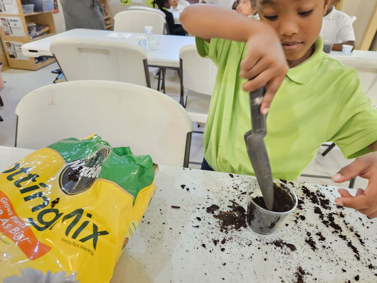 The Daniel Center tweet media