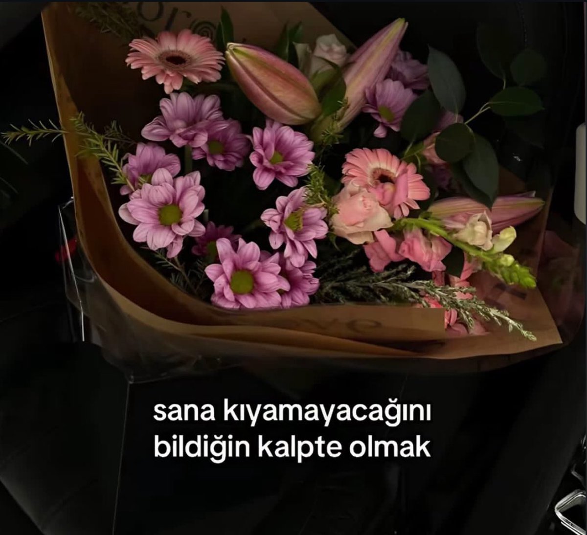 Kazım Sarıoğlu (@miyavdesenn) on Twitter photo 