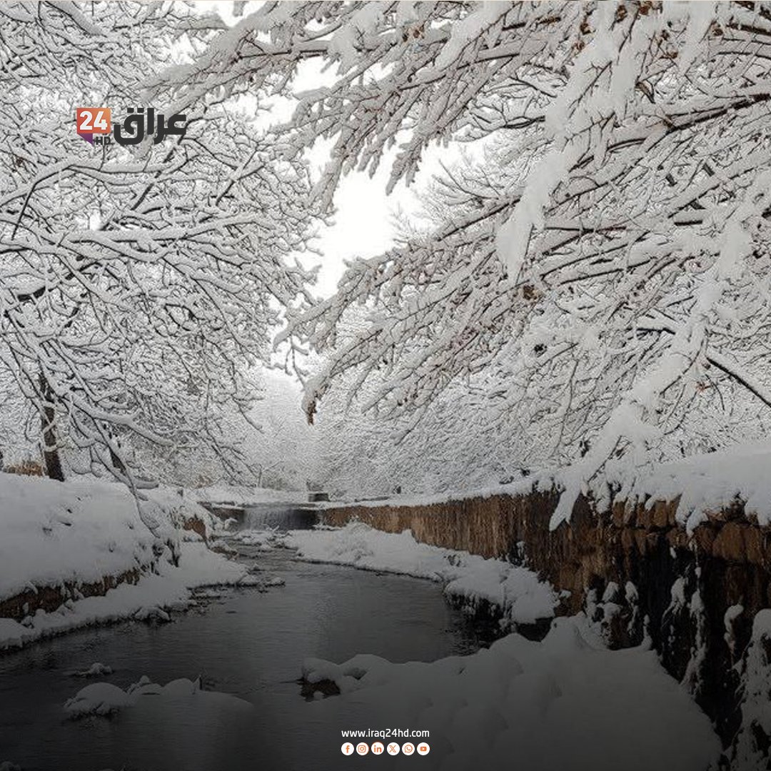 الثلوج تغطي محافظة فارس الإيرانية 