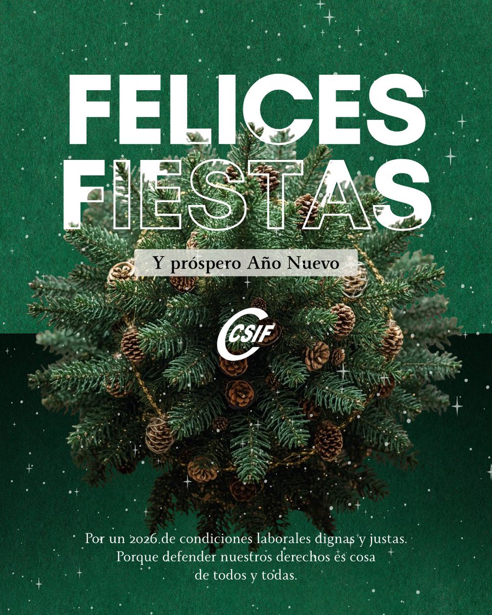 ✨ ¡Felices Fiestas! Desde CSIF Málaga te deseamos unas fiestas colmadas de paz, salud y unidad.

En 2026 vamos a seguir luchando y trabajando sin descanso por unas condiciones laborales dignas y justas.