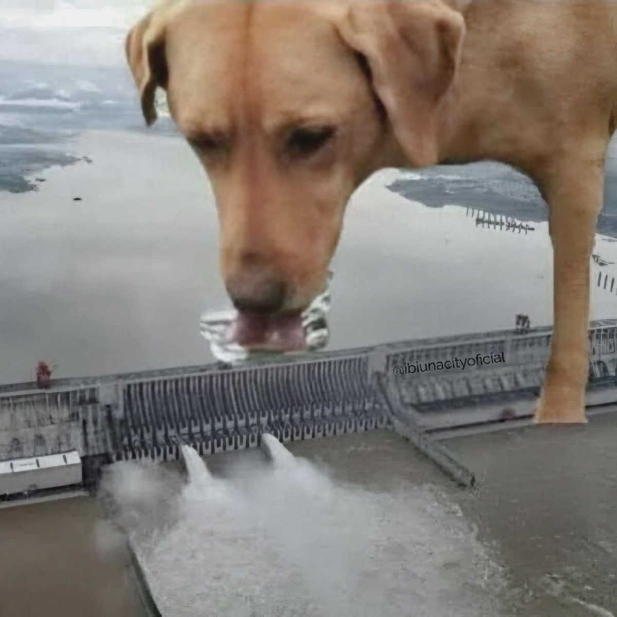 ꨥ.㰊ᵎꜝ឵ ටrᎥ꯭ꪮꪀ .ᐟ tweet media