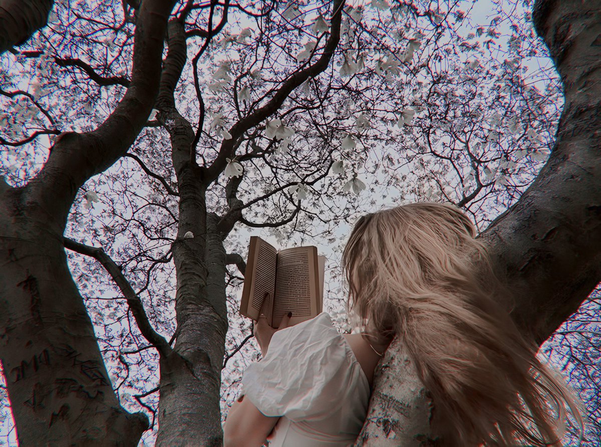 xWriterBrawler's tweet image. Buenas tardes.