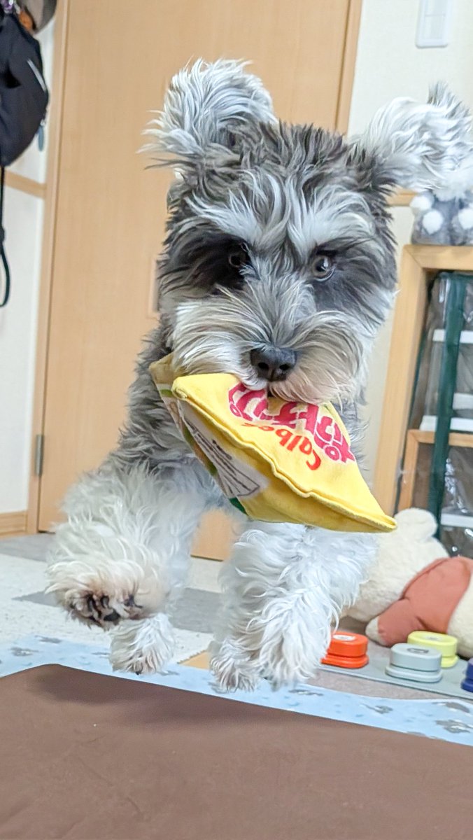 くぅさま確認ページ♡ Mill_U._.U (@ch11_18) / Posts / X