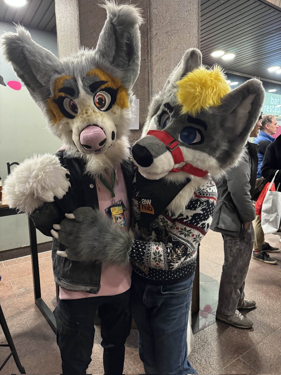 Welsh_Folf99's tweet photo. Have some gay folf and corgi for the last #FursuitFriday before Xmas! Such a handsome doggo 💛 https://t.co/ruPppdJt7F