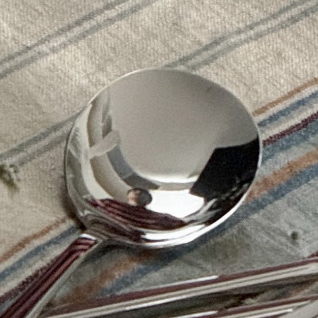 爪いじいじとスプーンに映るちびぎょんすと…🥄