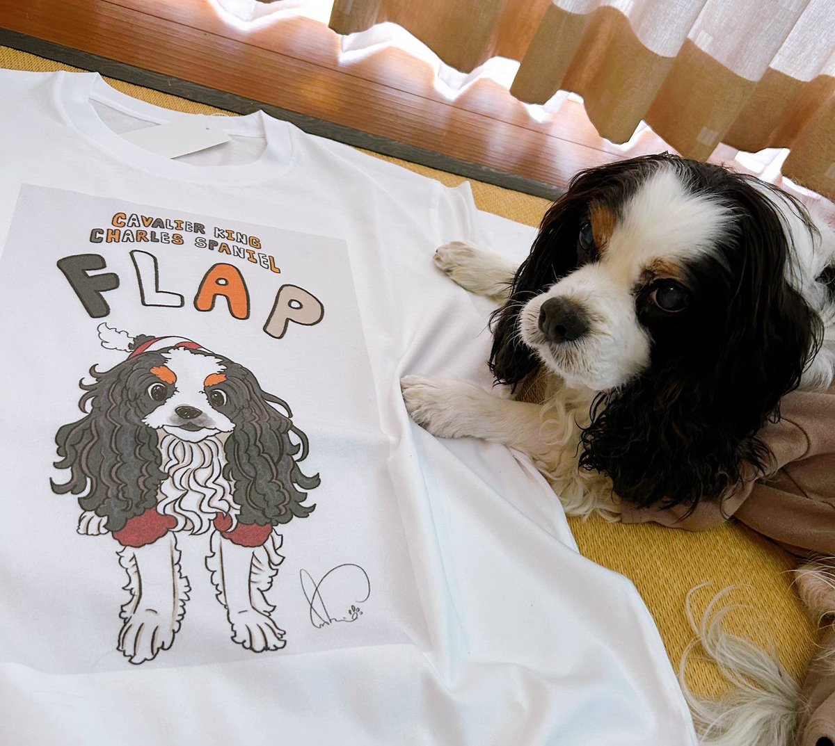 素敵なお写真を頂きました🐾✨