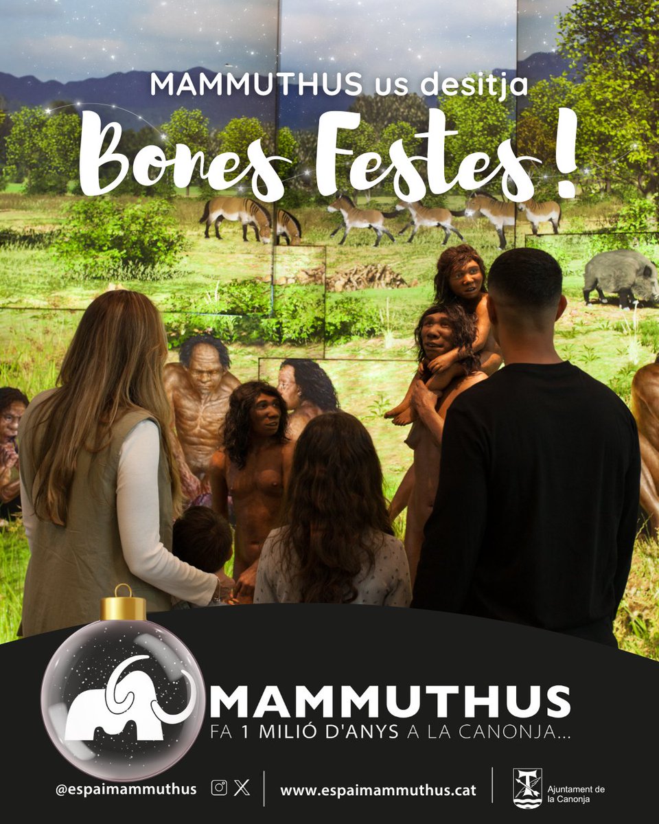 Espai Mammuthus tweet media