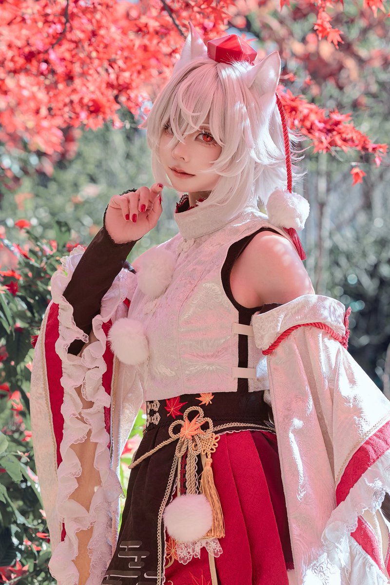Cosplay / コスプレ 東方Project / 犬走 椛