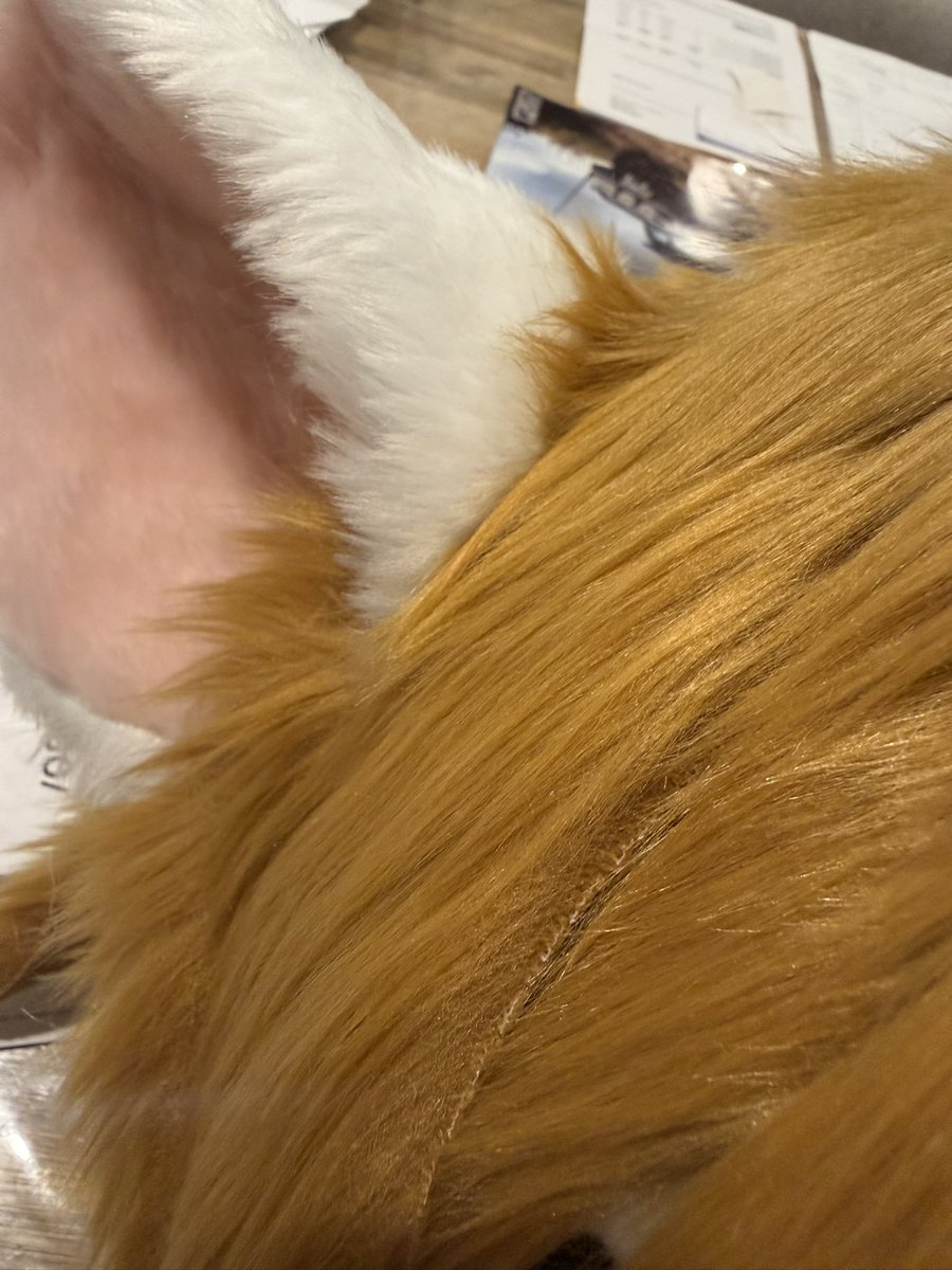 Oh? Whats this!!!!? 😏