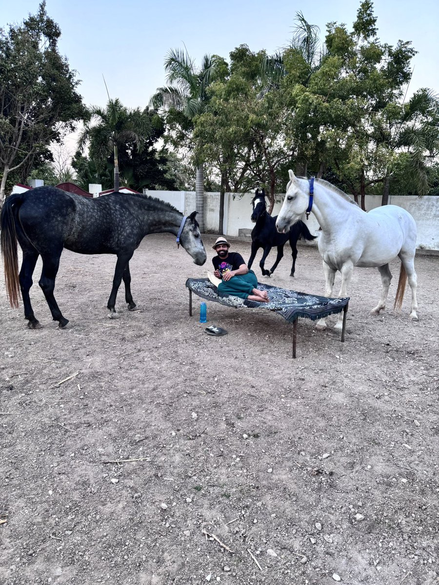 Ravindrasinh jadeja tweet media