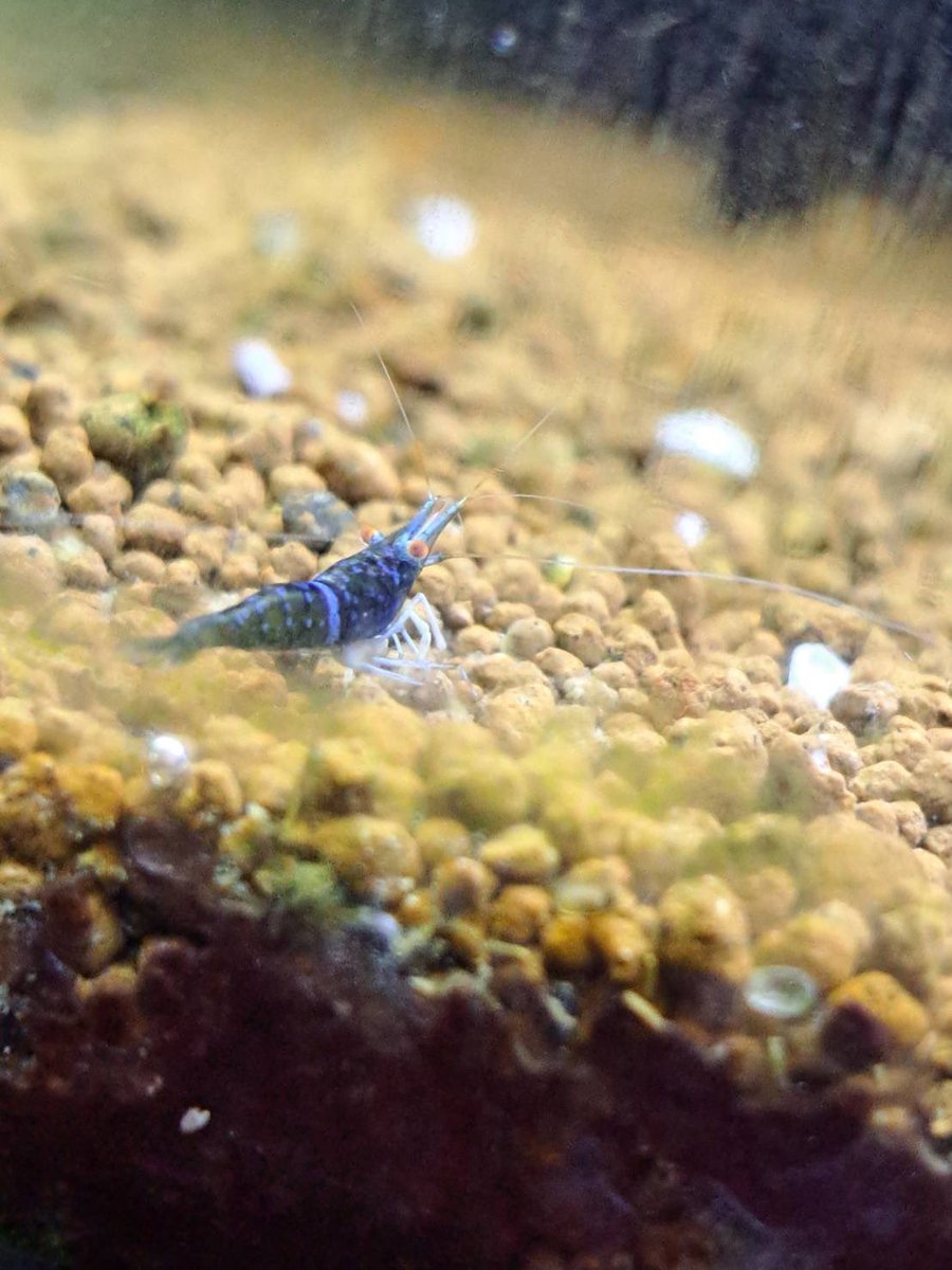 たけとら🦭 (@t_a_k_e_t_o_r_a) / Posts / X