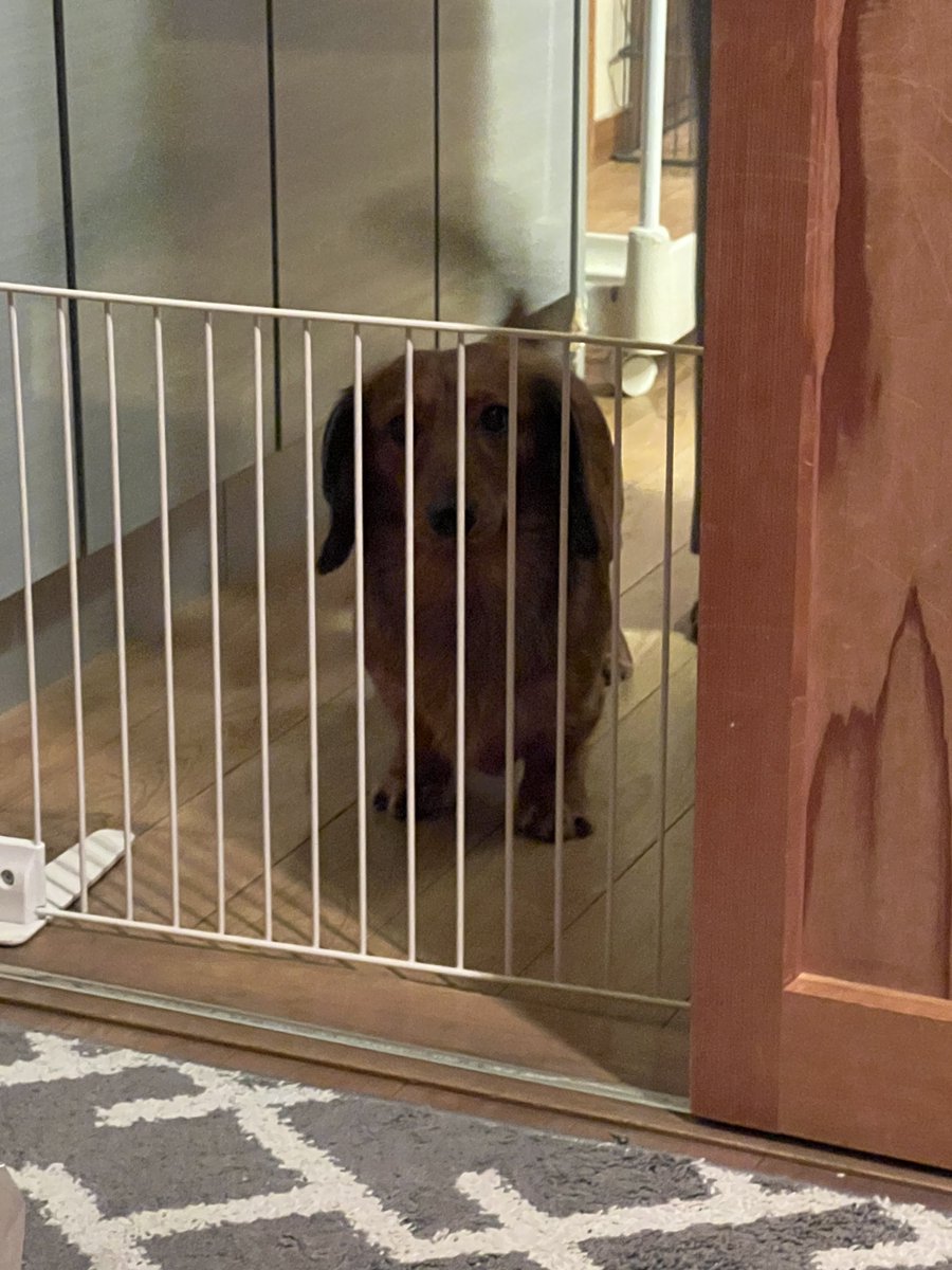 たくやページ Post by タクヤン on X: 実家にぽきたく