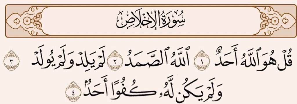 ᴊɪᴍ¹³ tweet media