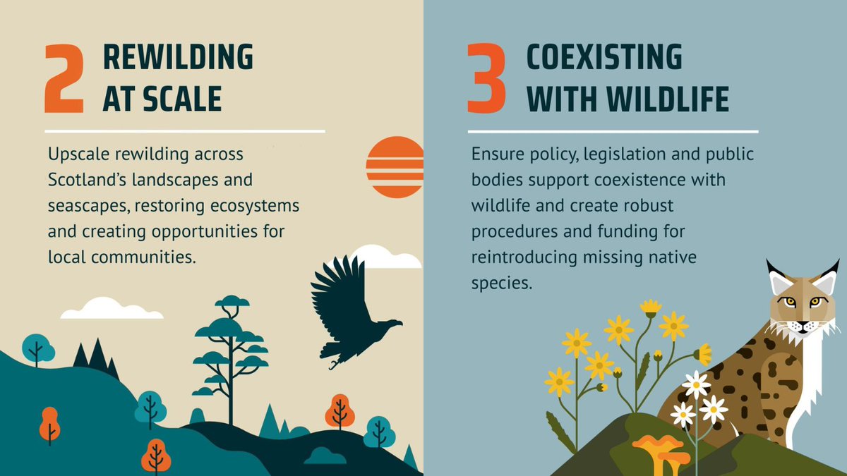 ScotRewilding's tweet image. A year ago, we launched our Pathway to a #RewildingNation – a clear, practical route towards a Scotland where nature can recover and thrive.

Since then, one thing has stood out above all else: you.

Again and again in 2025, our members and supporters have shown up, spoken out…