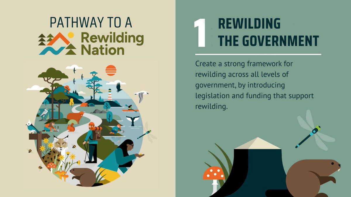 ScotRewilding's tweet image. A year ago, we launched our Pathway to a #RewildingNation – a clear, practical route towards a Scotland where nature can recover and thrive.

Since then, one thing has stood out above all else: you.

Again and again in 2025, our members and supporters have shown up, spoken out…