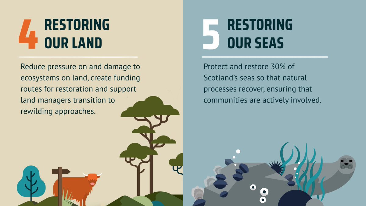 ScotRewilding's tweet image. A year ago, we launched our Pathway to a #RewildingNation – a clear, practical route towards a Scotland where nature can recover and thrive.

Since then, one thing has stood out above all else: you.

Again and again in 2025, our members and supporters have shown up, spoken out…