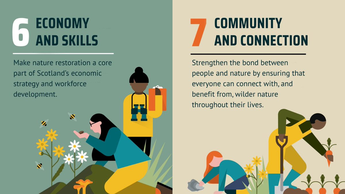 ScotRewilding's tweet image. A year ago, we launched our Pathway to a #RewildingNation – a clear, practical route towards a Scotland where nature can recover and thrive.

Since then, one thing has stood out above all else: you.

Again and again in 2025, our members and supporters have shown up, spoken out…