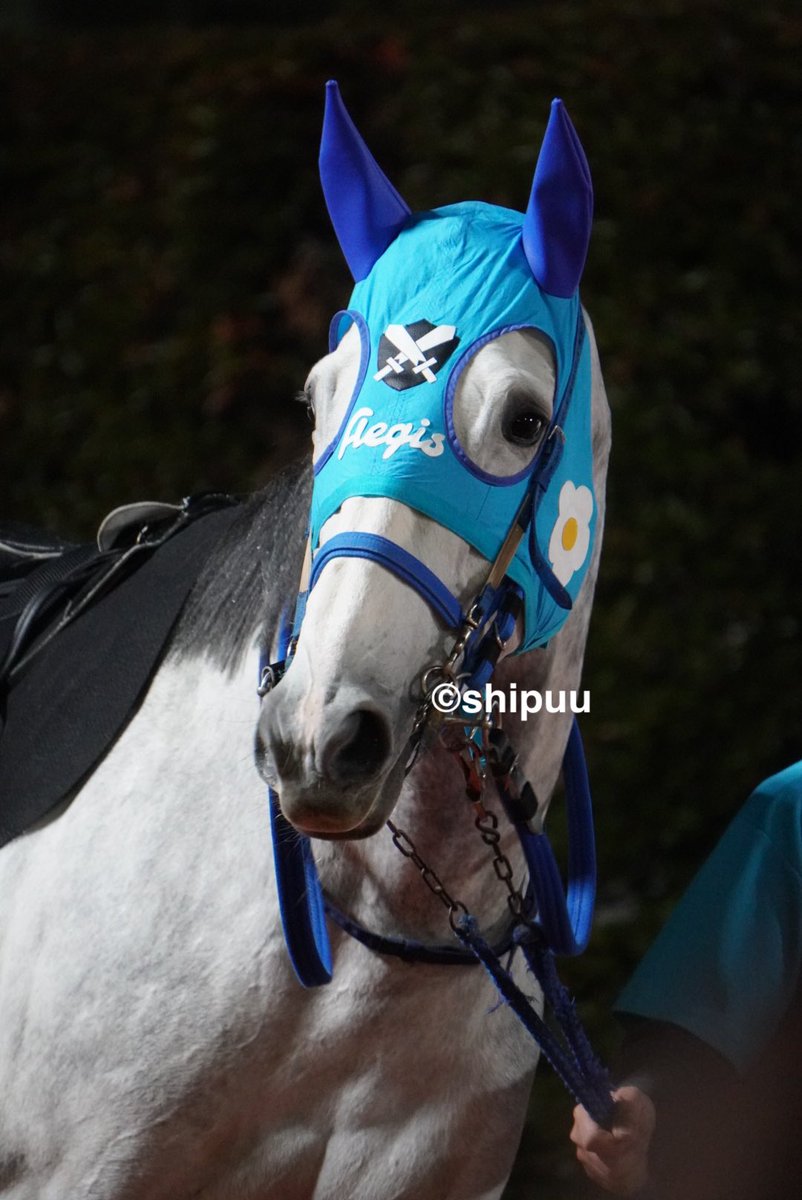 しっぷ-ˏˋ 🖤🐴 ˎˊ- (@shipuu_) / Posts / X