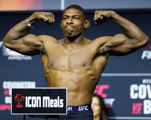 The Fight Fanatic tweet media