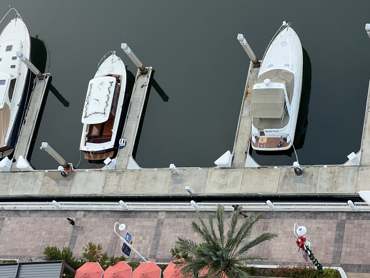 George Silbermann tweet media