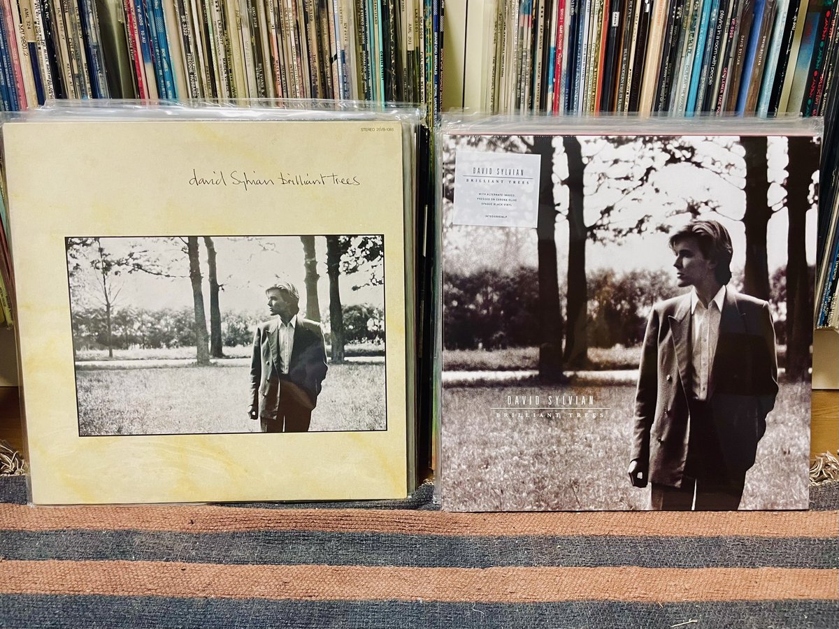 David Sylvian「Brilliant Trees」のレコードを 40年ぶりに買い直しま