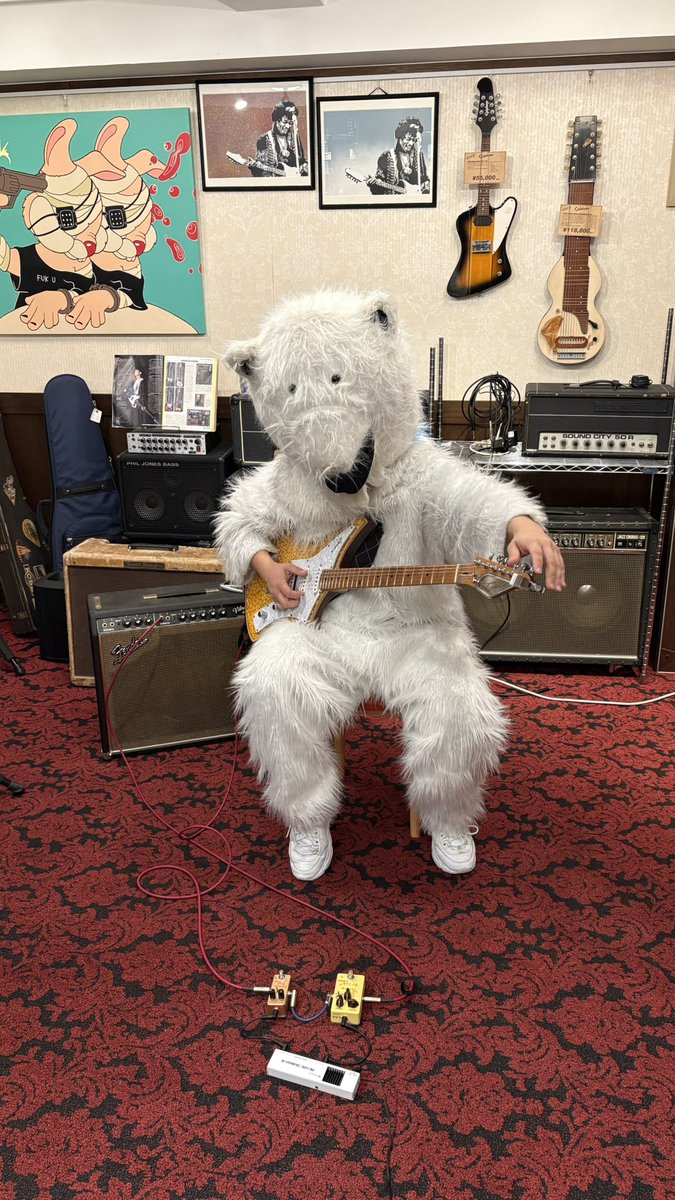 くまにっく (@kuma_nicc) / Posts / X