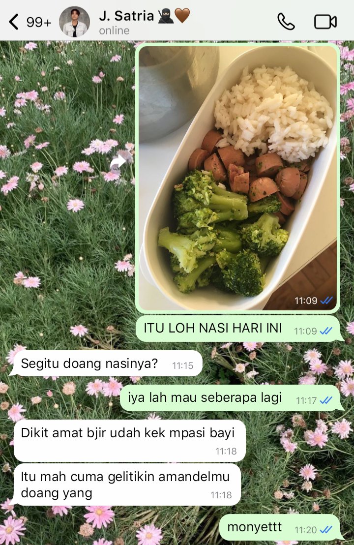 sourspicey's tweet image. daily chat isinya jadi laporan makan iyh siap