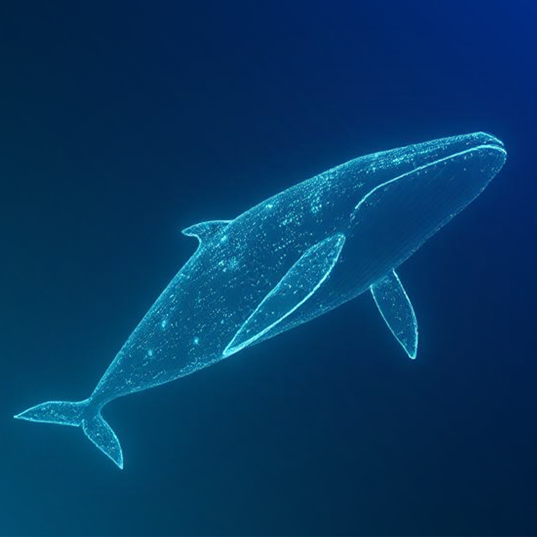 🚨Bureau : "Whale scommette 99 milioni su Bitcoin con short a 40X: rischio liquidazione a 89.130 dollari"