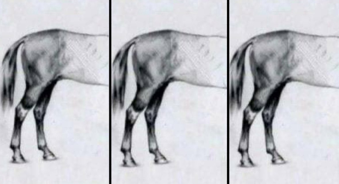 advogado miguel tweet media