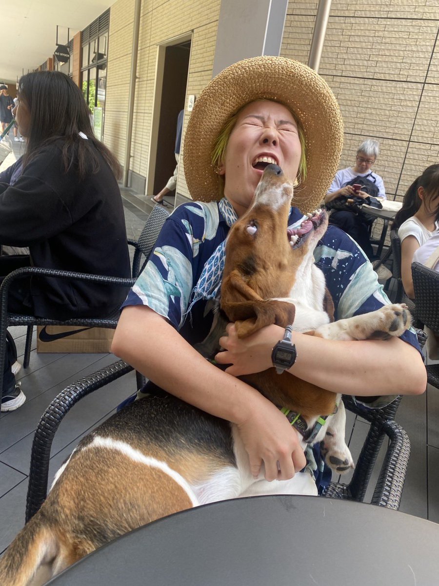 くまこ@雑談アカウント (@BrowfiriP3) / Posts / X