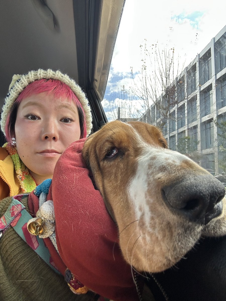 くまこ@雑談アカウント (@BrowfiriP3) / Posts / X