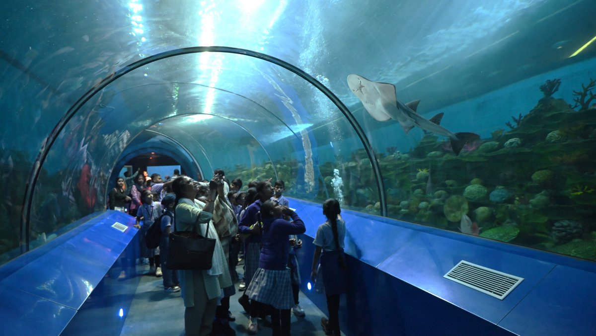 GujScienceCity's tweet image. જળજીવનની અદભુત દુનિયામાં મુલાકાતીઓનો રંગીન પ્રવાસ!
ગુજરાત સાયન્સ સિટીના એક્વેટિક ગેલેરીમાં માછલીઓ, સમુદ્રી જીવ અને અન્ડરવોટર અજાયબીઓ સાથે મુલાકાતીઓની યાદગાર ક્ષણો.
#GujaratScienceCity #AquaticGallery #UnderwaterWorld #AquaticLife #MarineWonders #ExploreScience #ChaloScienceCity