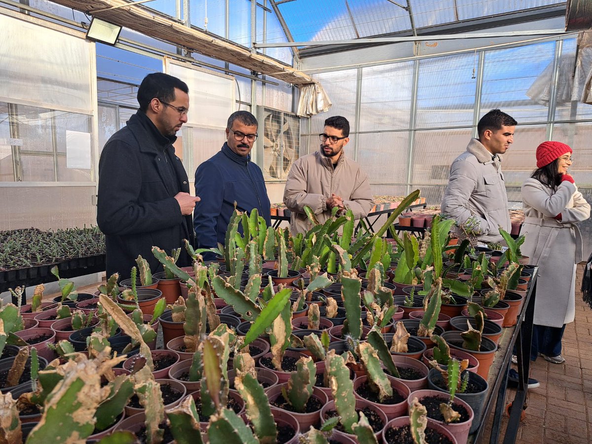 UM6P Innovation & Entrepreneurship Lab tweet media