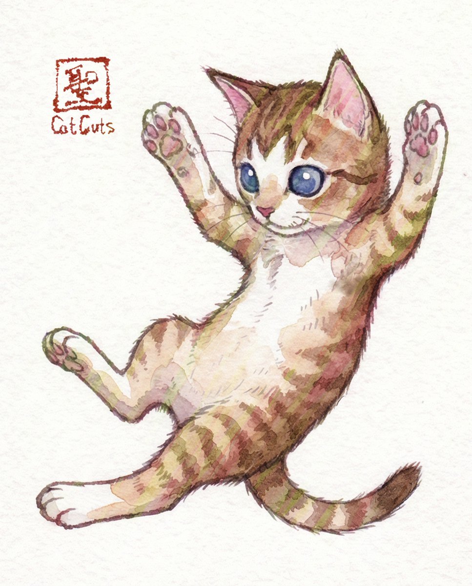 CatCuts✴︎描き猫✴︎ tweet media