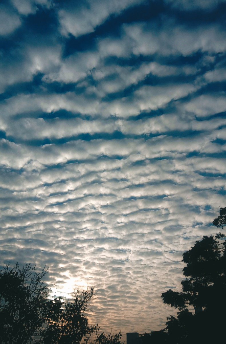 han bhaeee mai bhi sky paglu hon.(2)