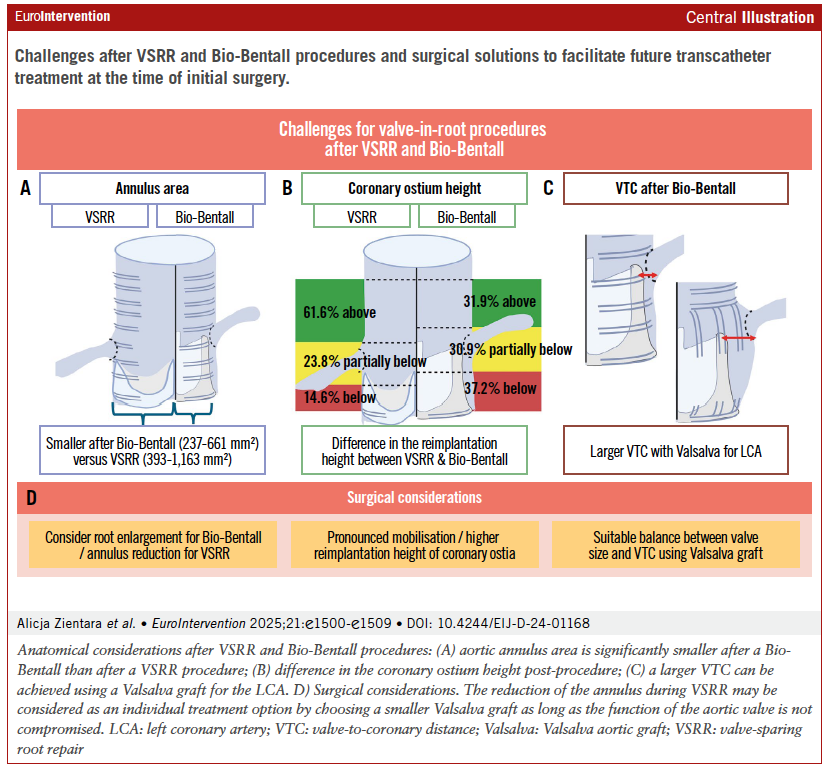 EuroInterventio's tweet photo. In patients after VSRR or Bio-Bentall, annular size, coronary ostial height, and graft choice critically determine the feasibility of future valve-in-root TAVI.
https://t.co/RePJGuwJCc

#StructuralHeart #TAVI #CardiacSurgery #LifetimeManagement
@dirkwestermann @alexm_lab @MatthiasSiepe