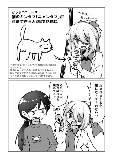 ニャンタマ 