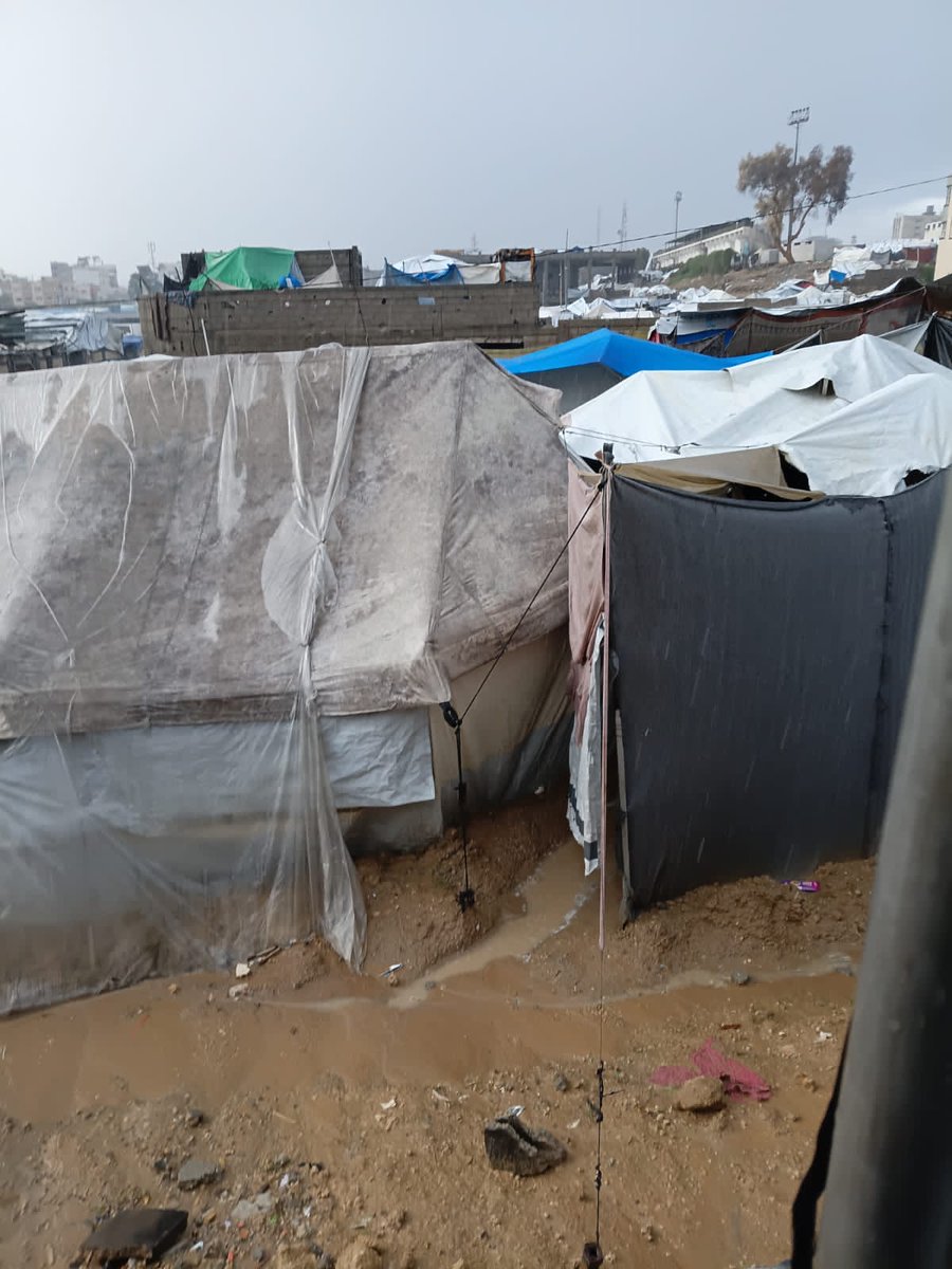 LoverHomeless's tweet photo. 🫂♥️My friends, thank you for your beautiful words and well wishes for me, I am feeling better today than I was yesterday although I still have pain in my teeth that remains. It was such a happy moment for me to have completed our shelter finally, with the tarpaulin up to protect from the cold and the roof and building secured to make it safe. We still need some finishing touches, things the cats will need like medicine and warm blankets and wood to build huts for them to sleep in. I would be so grateful for your help, my friends. I know I repeat myself a lot, but these poor innocent animals have no one there for them, and they've been through hell and deserve a nice life now. Many of the cats we hope to help from the streets have lived as beloved household pets for all their lives, and they won't do well in the cold by themselves. Some of these poor cats will have had their homes and their owners taken away by the war, leaving them with no home or love anymore, and it breaks my heart to see them all out there near my home. This is why I ask for your help to help them, my dear friends. Of course, I can't write to you without reminding you of all the poor families who are living miserable conditions in the cold, their lives made so difficult this winter. We are currently raising the funds to buy our cruelty free camp the replacement tents necessary so they are not exposed to the cold and rain. Their lives are dependent on us and on you, my dear friends. Please help them however you can, and please share my post with others so they might help too. Thank you so much from the bottom of my heart for being such wonderful friends to me and to all of us here in 💔🇵🇸🌿#Gaza.. 💚

For our Cat Shelter + My Family's & Cat Funds
🐾🐈🥺🫂https://t.co/2GC5exCPrG 

Our Cruelty Free Kitchen 
🫂🙏🇵🇸https://t.co/fIVCEUyzsI
