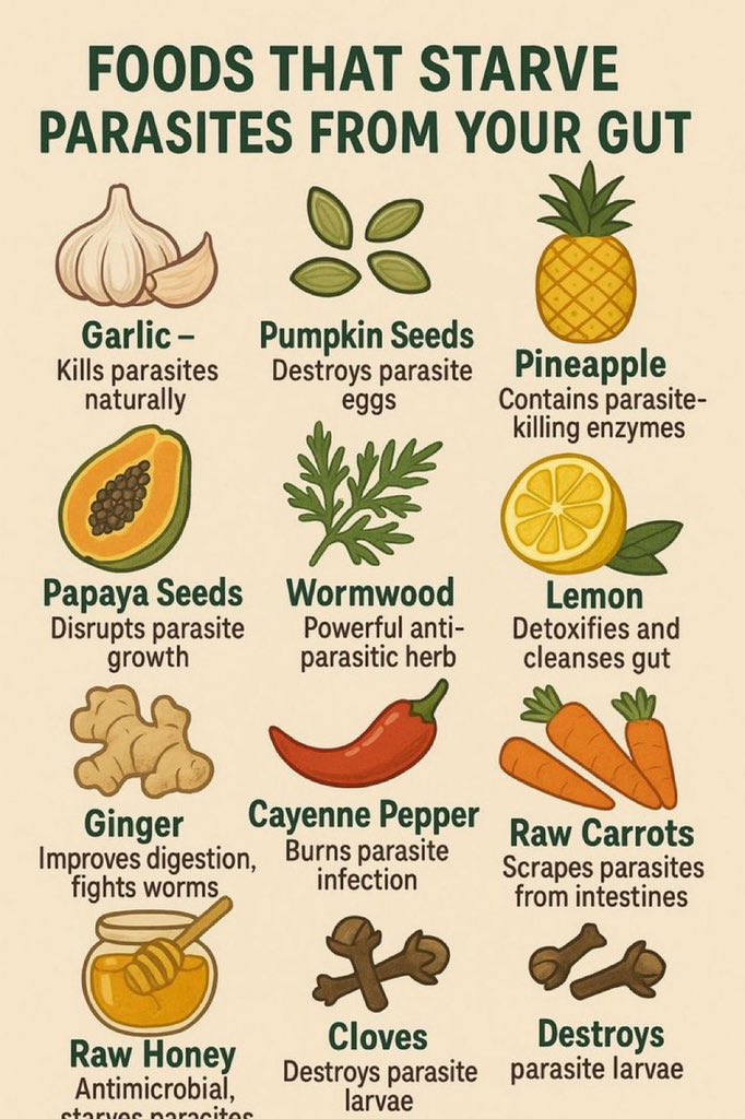 EnergyUp_'s tweet image. Foods that starve parasites from your gut

Garlic- Kills parasites naturally.

Pumpkin seeds- Destroys parasites eggs.

Pineapple- Contains parasites killing enzymes.

Papaya seeds- Disrupts parasites growth.

Wormwood- Powerful anti parasites herb.

Lemon- Detoxifies and clean…